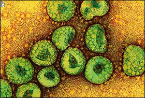 Corona Virus-Olasi hastalik etkeni