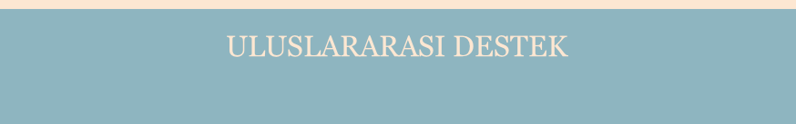 ULUSLARARASI DESTEK
