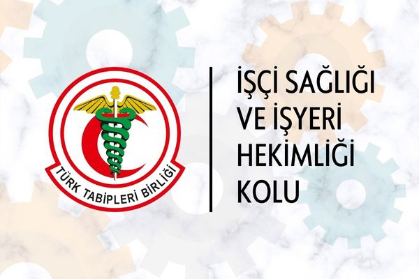 TTB İşçi Sağlığı ve İşyeri Hekimliği Kolu, Çalışma ve Sosyal Güvenlik Bakanlığı İşyeri Tehlike Sınıfları Komisyonu Toplantısına Katıldı