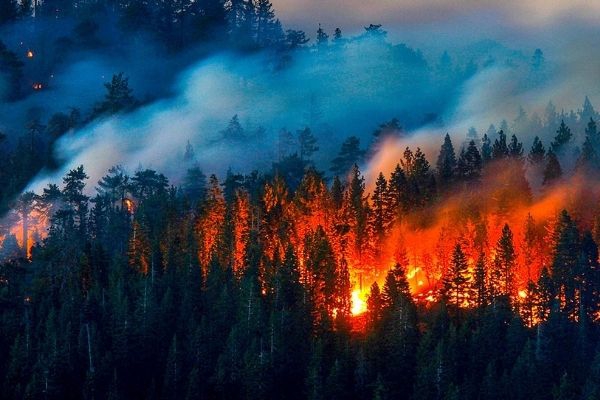 Orman Yangınlarından Kaynaklanan Hava Kirliliğinin Sağlık Etkileri Bilgi Notu 