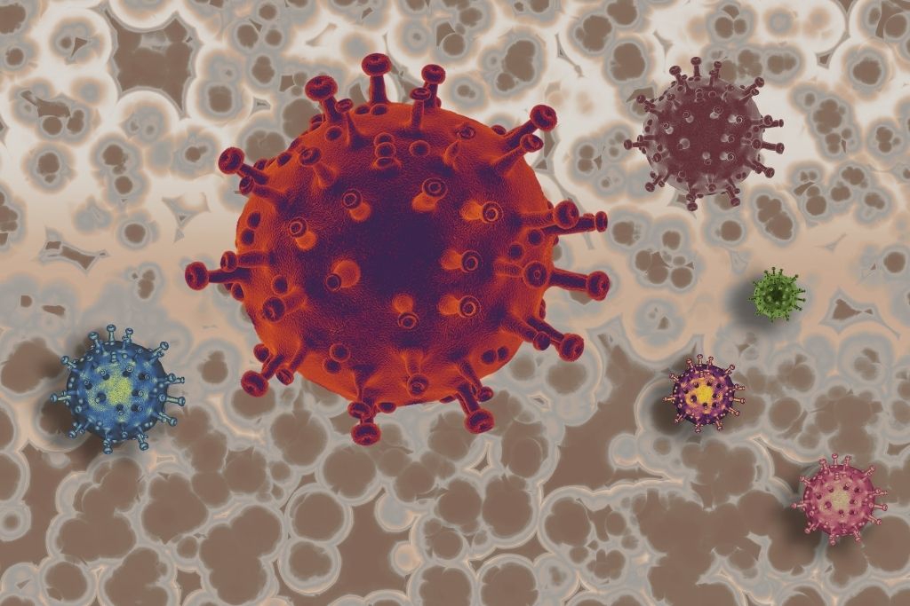 Maymun Çiçeği Hastalığı (Monkeypox): Yeni Bir Pandeminin Eşiğinde Miyiz?
