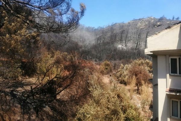 Muğla ve İlçelerinde Orman Yangınları Hızlı Değerlendirme Raporu