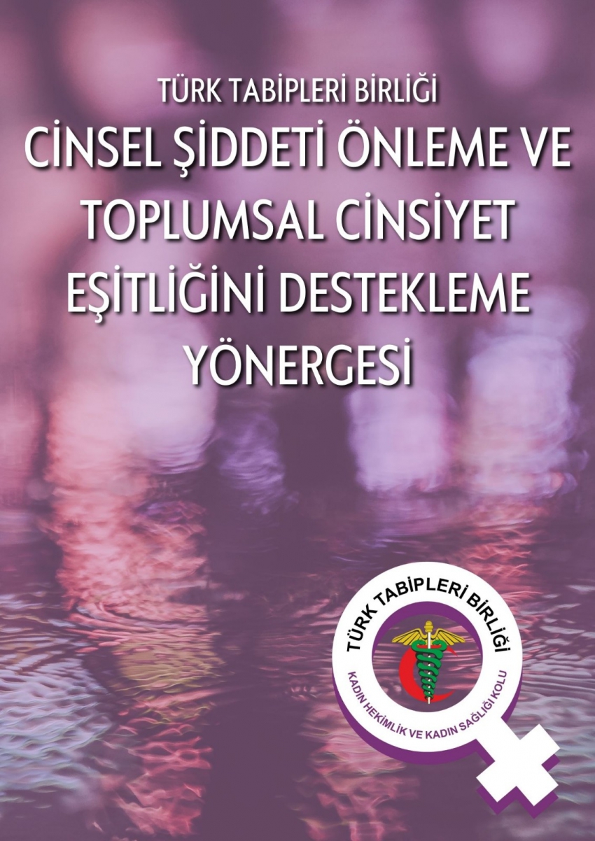 CİNSEL ŞİDDETİ ÖNLEME VE TOPLUMSAL CİNSİYET EŞİTLİĞİNİ DESTEKLEME YÖNERGESİ