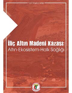 İliç Altın Madeni Kazası: Altın-Ekosistem-Halk Sağlığı