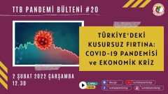 TTB Pandemi Bülteni #20 - Türkiye’de Kusursuz Fırtına: COVID-19 Pandemisi ve Ekonomik Kriz