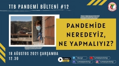 TTB Pandemi Bülteni #12 - Pandemide Neredeyiz, Ne Yapmalıyız?