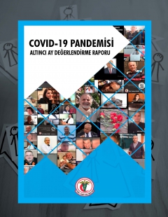 TTB COVID-19 Pandemisi 6. Ay Değerlendirme Raporu