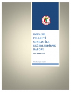 HOPA SEL FELAKETİ SONRASI İLK DEĞERLENDİRME RAPORU