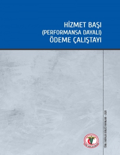 HİZMET BAŞI (PERFORMANSA DAYALI) ÖDEME ÇALIŞTAYI