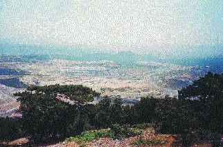res11.jpg (38627 bytes)