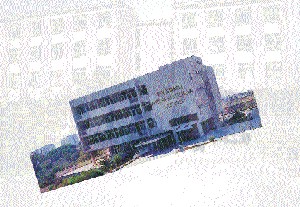 res31.jpg (32489 bytes)