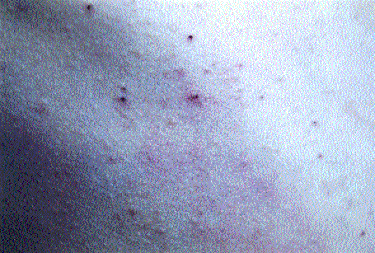 image010.gif (47265 bytes)