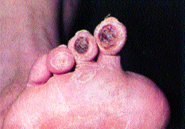 image018.gif (48520 bytes)