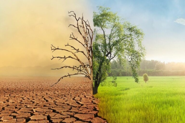Küresel İklim Değişikliği ve Giderek Isınan Dünya